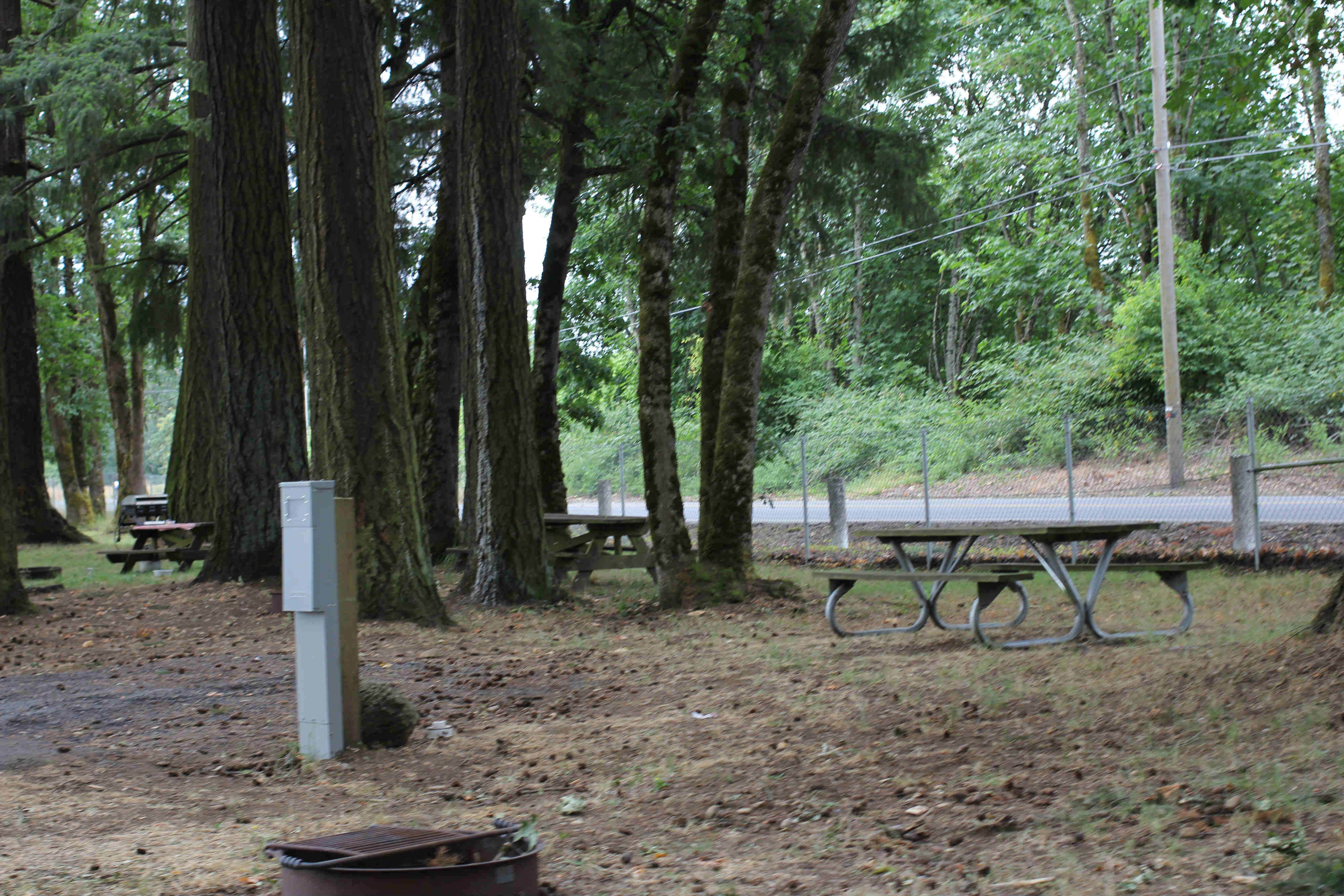 Camper submitted image from Scappoose Bay Marine Park - 2