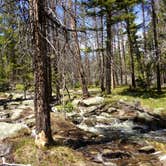 Review photo of Park Lake Campground by Carla S., August 1, 2016