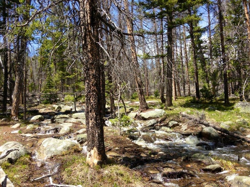 Camper submitted image from Park Lake Campground - 4