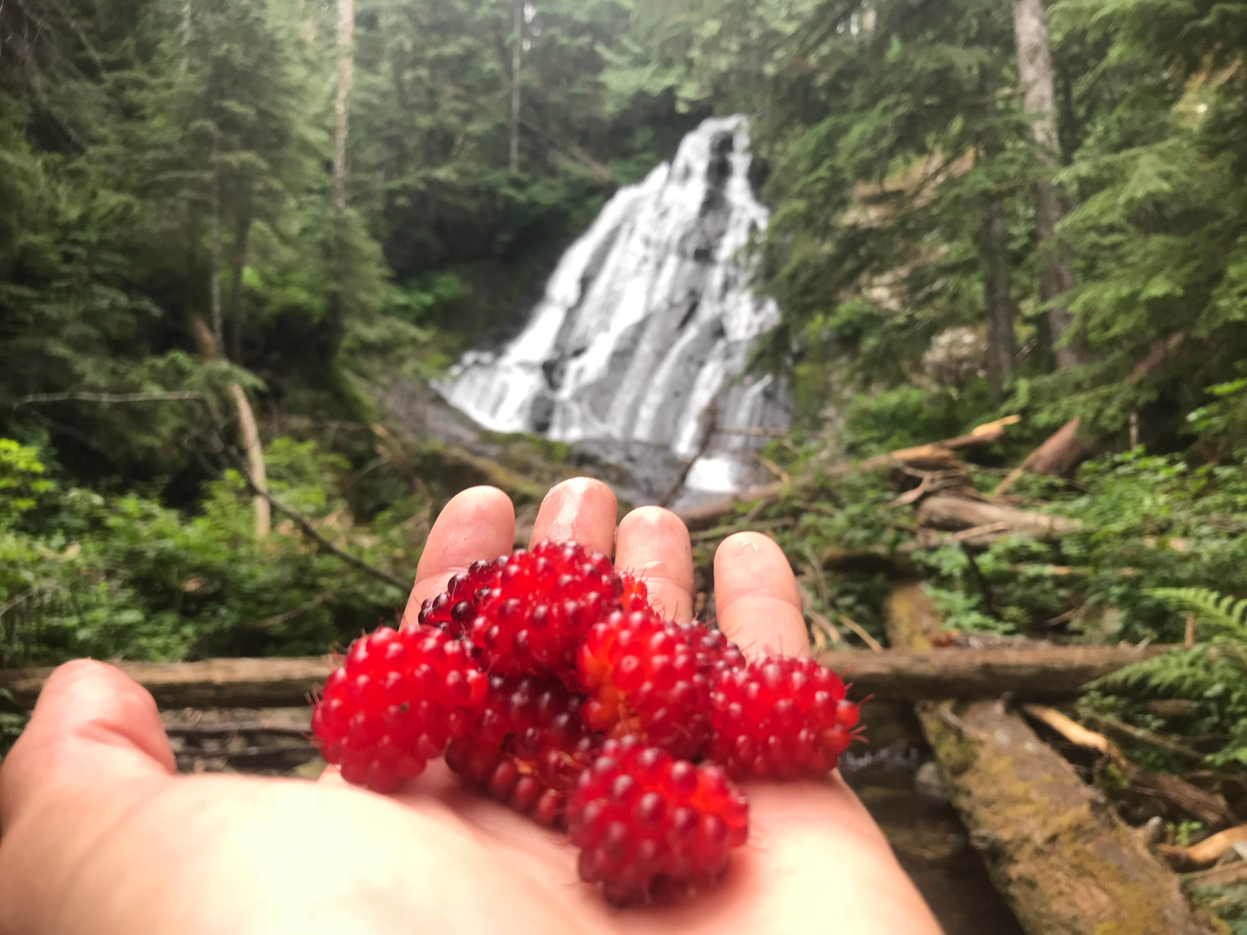 Camping near Troublesome Creek Campground: US Highway 2 - Skykomish Area east to Stevens Pass, Baring, Washington