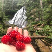 Review photo of US Highway 2 - Skykomish Area east to Stevens Pass by Josiah P., August 26, 2018