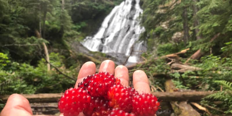 Camper submitted image from US Highway 2 - Skykomish Area east to Stevens Pass