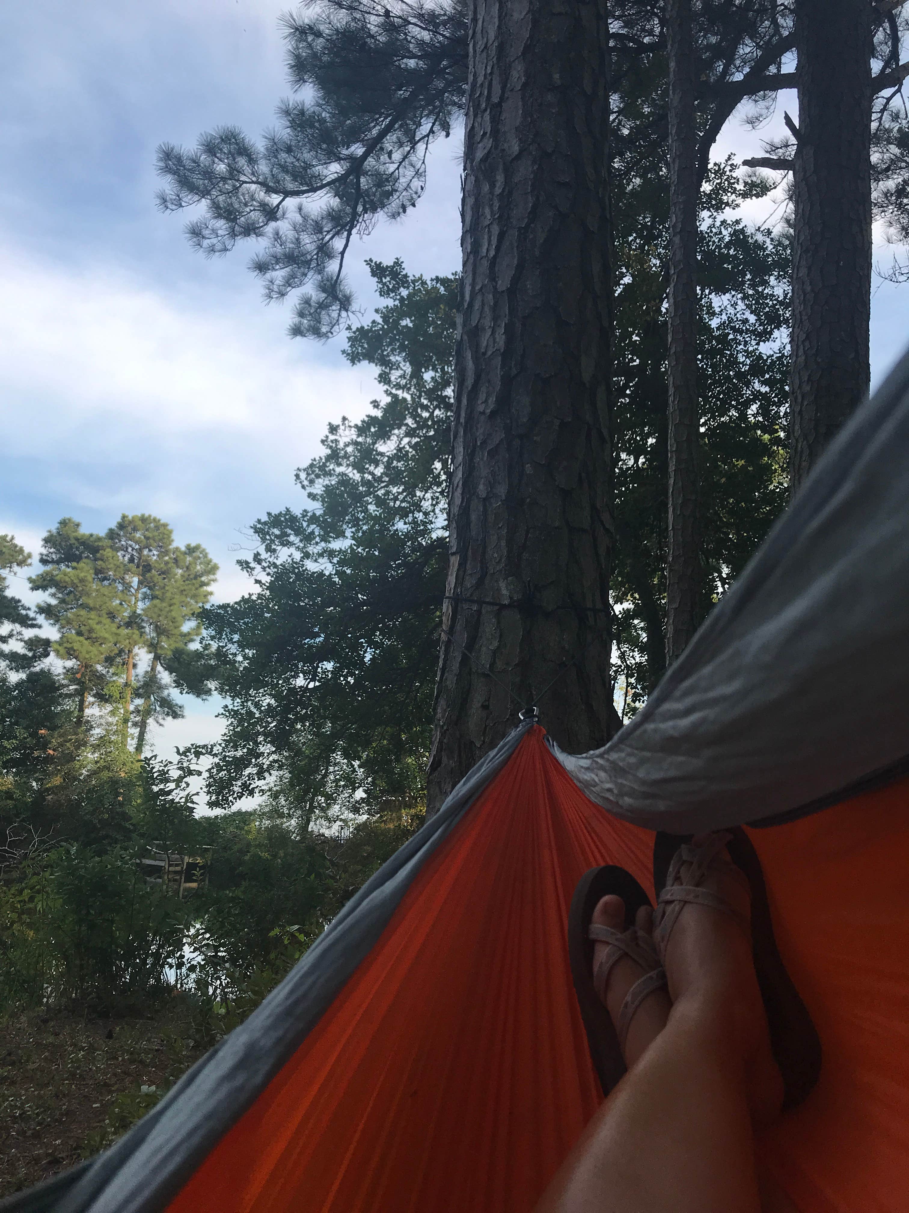 Gina G.'s photo at Cross Rip Camp in Virginia