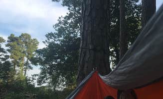 Gina G.'s photo at Cross Rip Camp near Cheriton, VA