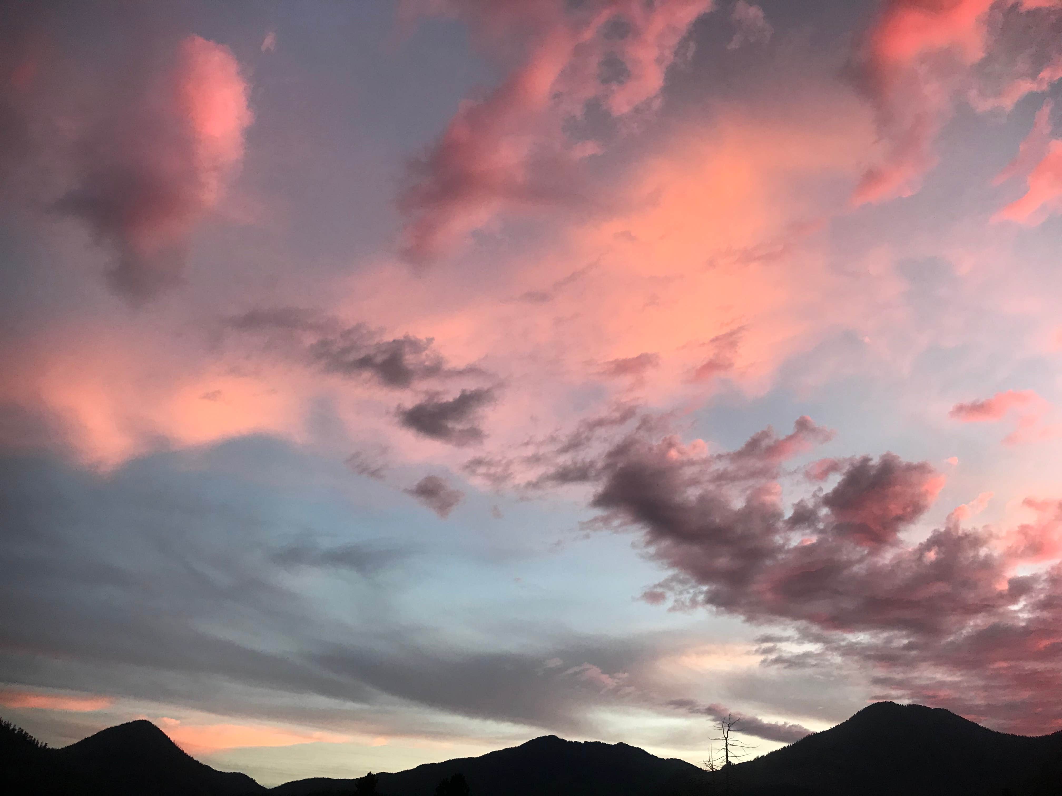 Camping near Young Lake (south) Cabin: Admiralty National Monument, Douglas, Alaska