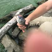 Review photo of Calumet County Park by Jennifer S., July 7, 2018