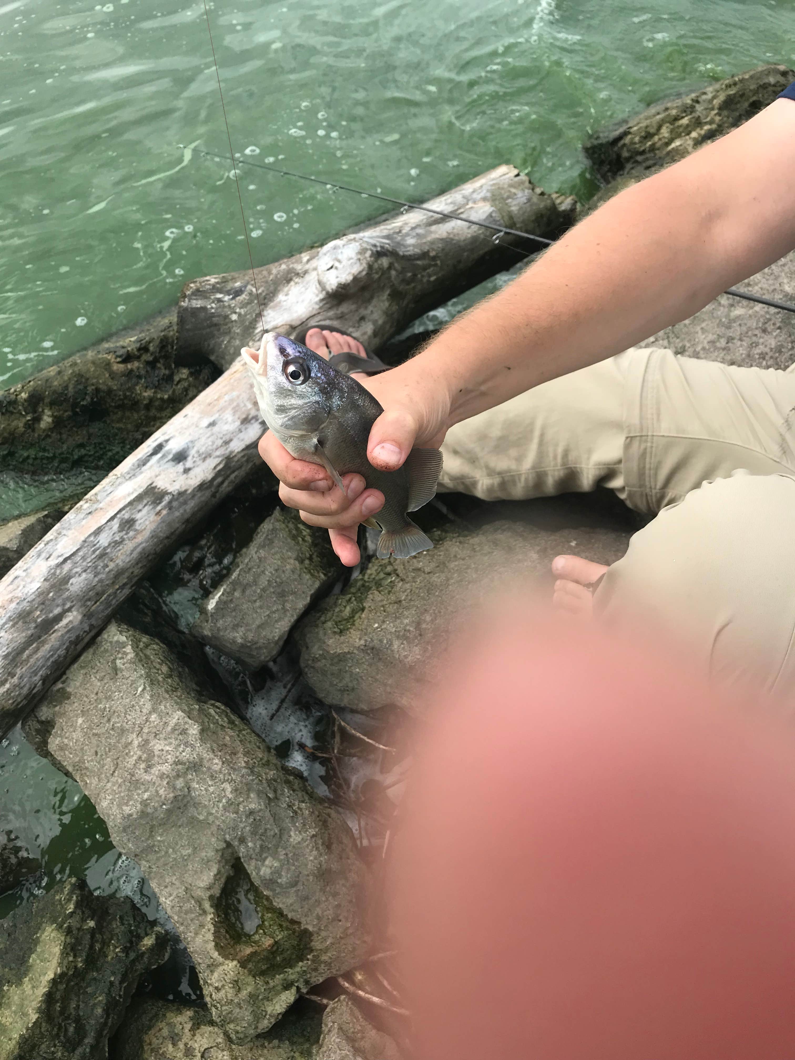 Camper-submitted photo at Calumet County Park near Malone, WI