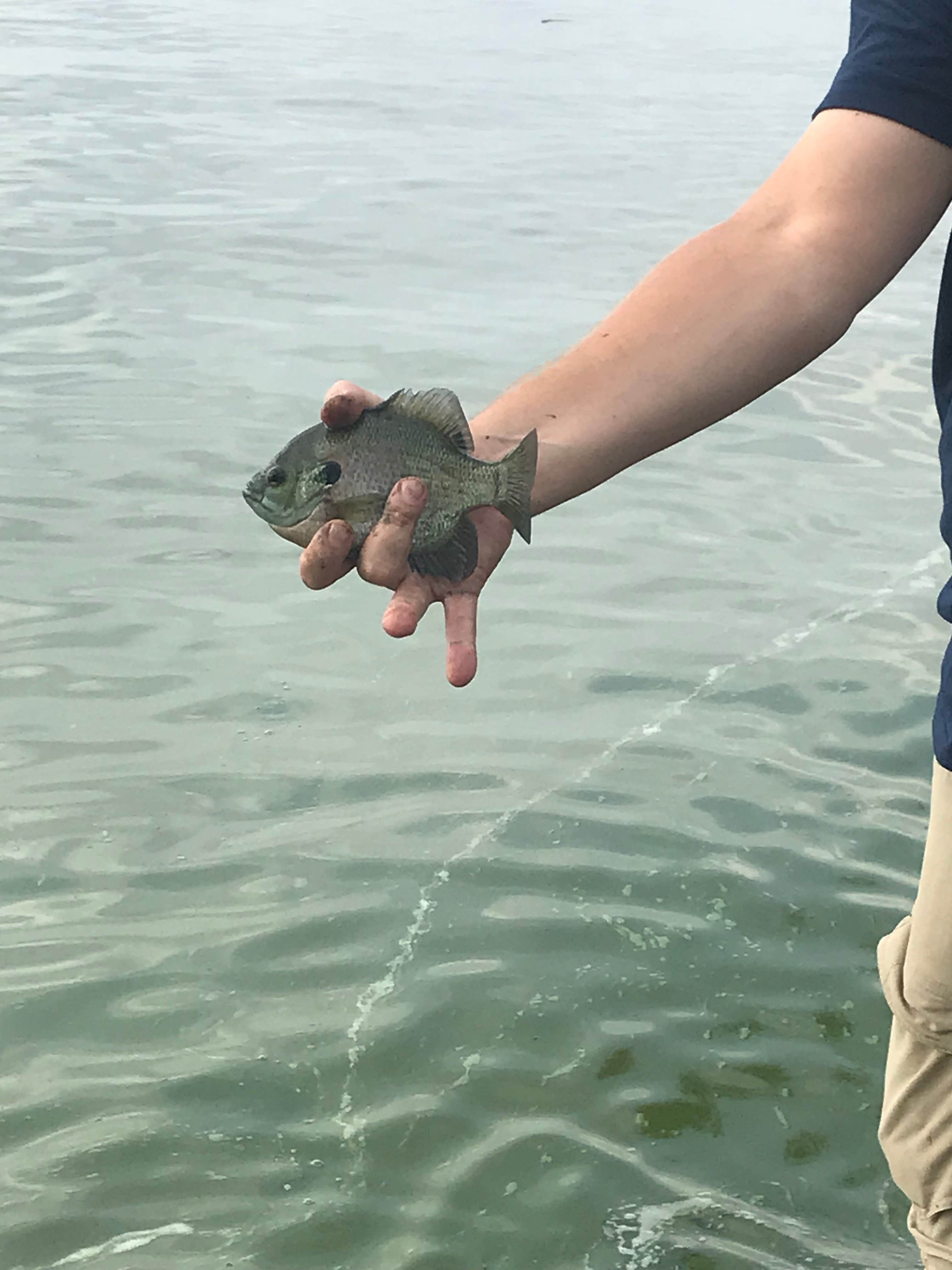 Camper-submitted photo at Calumet County Park near Malone, WI
