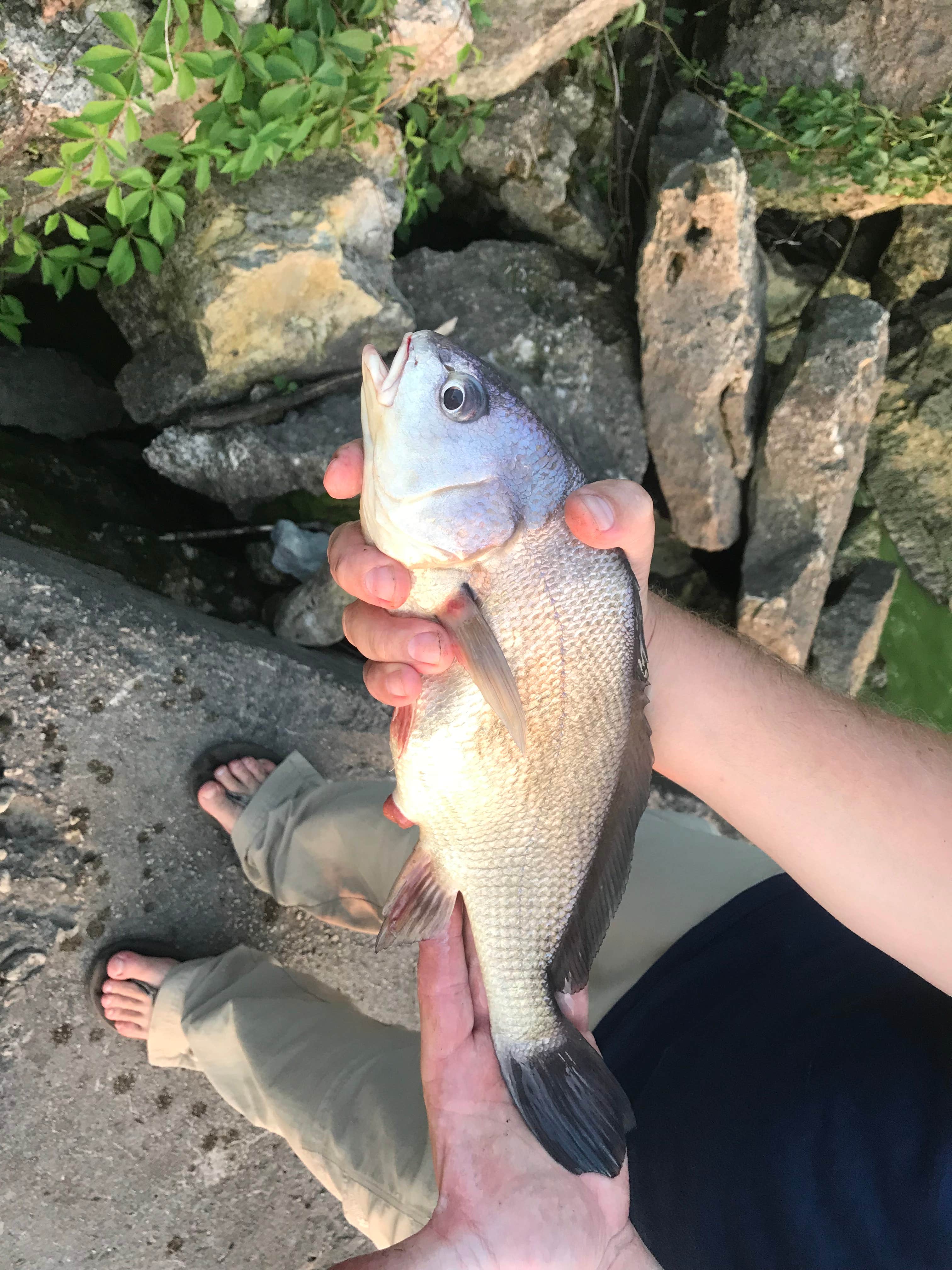 Camper-submitted photo at Calumet County Park near Malone, WI