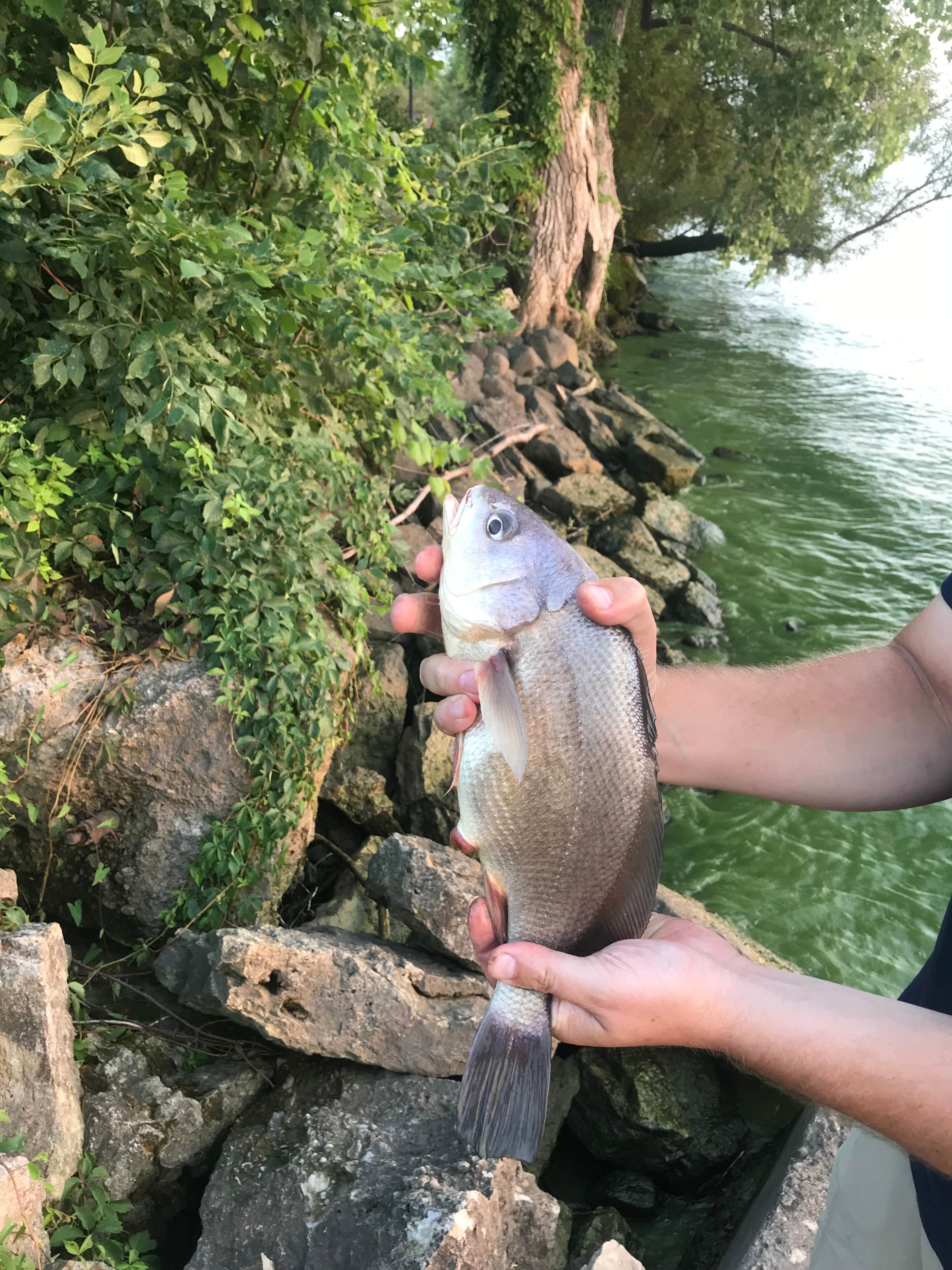 Camper-submitted photo at Calumet County Park near Malone, WI