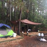 Review photo of Belle Isle State Park Campground by Gina G., August 26, 2018
