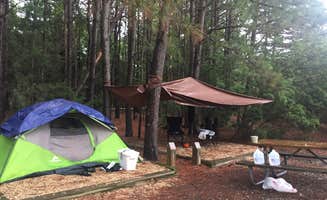 Gina G.'s photo at Belle Isle State Park Campground near Scotland, MD