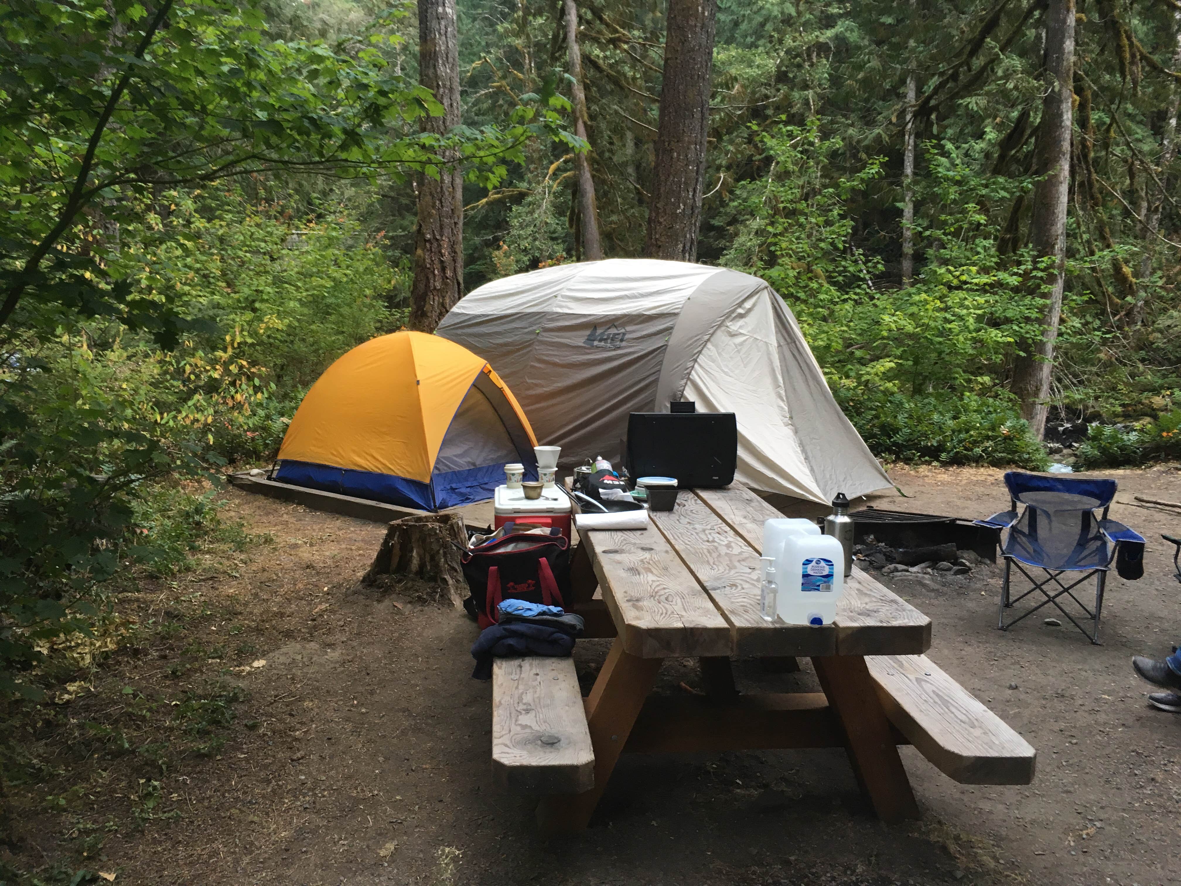 Richard C.'s photo at Douglas Fir Campground near Maple Falls, WA