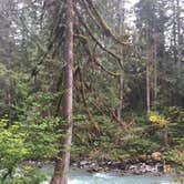 Review photo of Douglas Fir Campground by Richard C., August 26, 2018