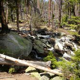 Review photo of Park Lake Campground by Carla S., August 1, 2016