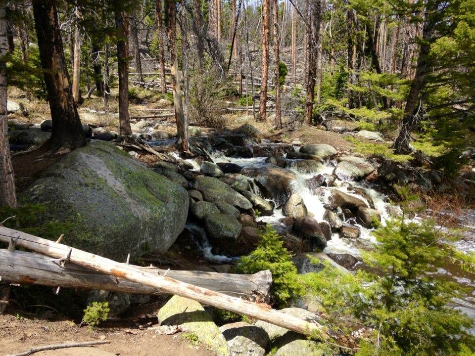 Camper submitted image from Park Lake Campground - 2