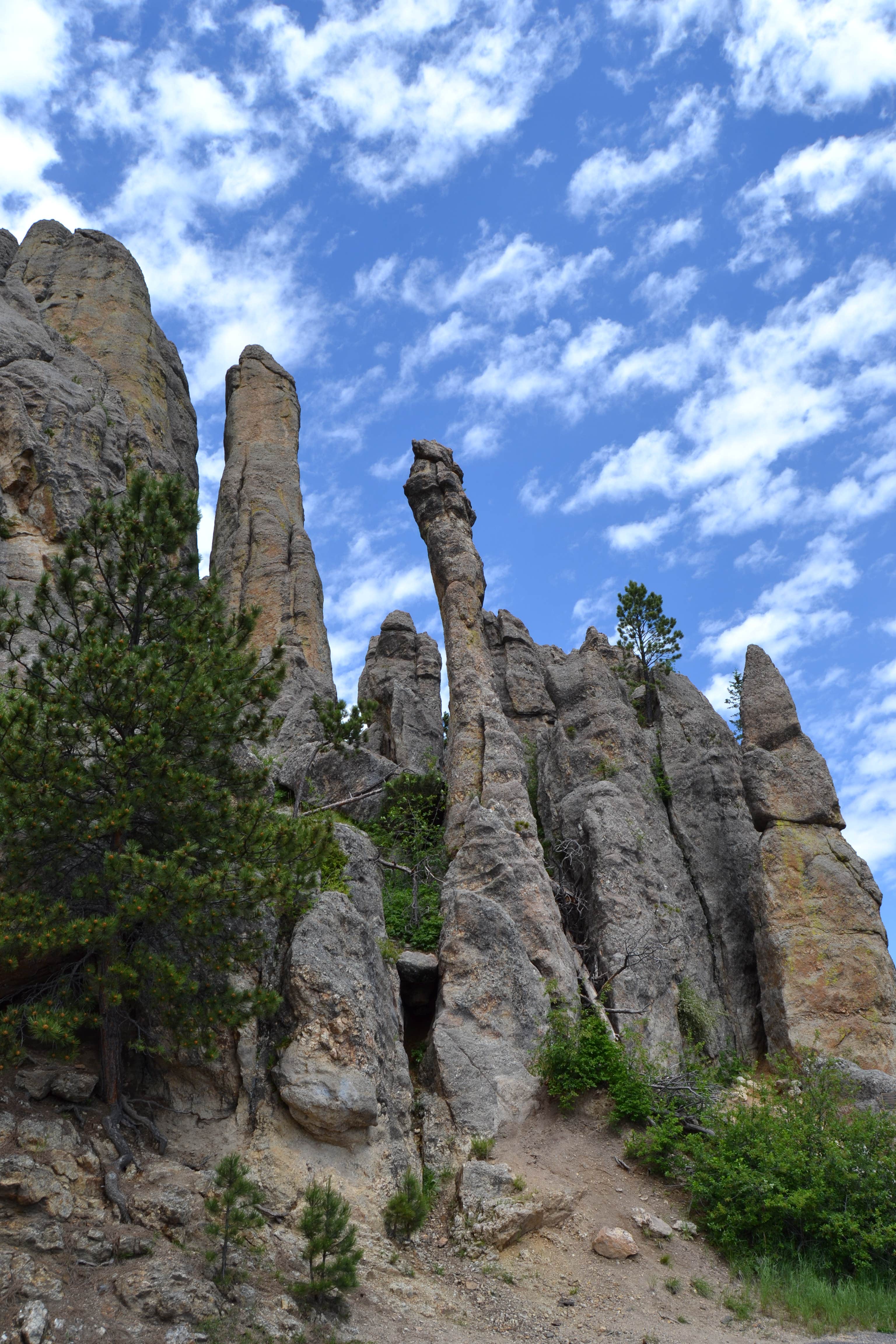 Camper submitted image from Game Lodge Campground — Custer State Park - 5