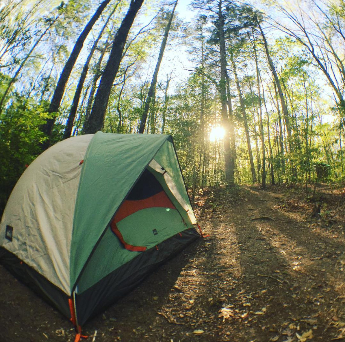 fisheye view of a green tent surrounded by trees at a cloudland canyon campsite