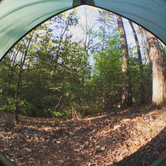 Review photo of Cloudland Canyon State Park Campground by Anna M., August 26, 2018