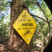 Review photo of Cloudland Canyon State Park Campground by Anna M., August 26, 2018