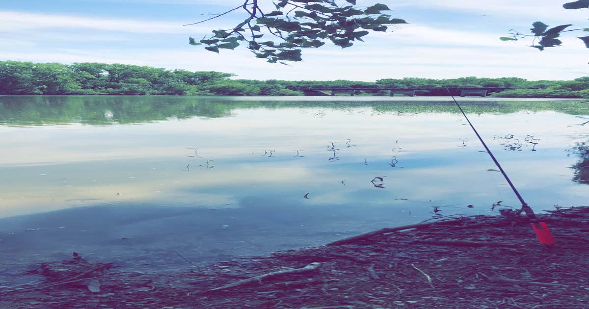 Walleye Point Campground — Lovewell State Park