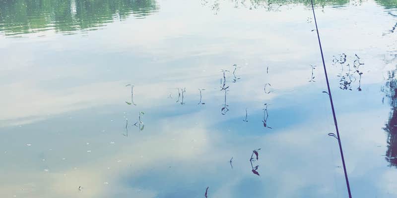 Camper submitted image from Walleye Point Campground — Lovewell State Park