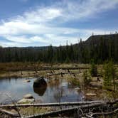Review photo of Park Lake Campground by Carla S., August 1, 2016