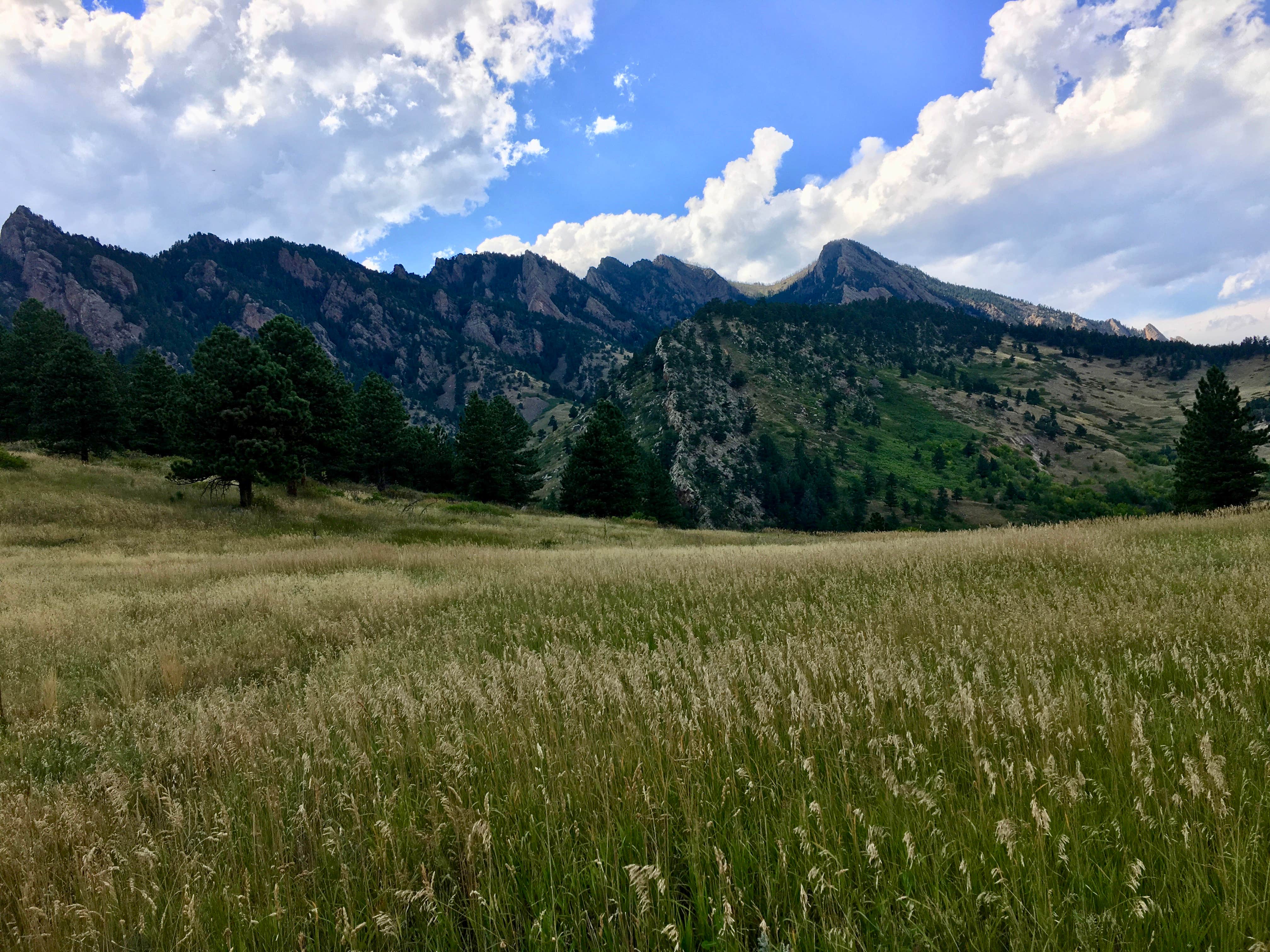 Camper-submitted photo at Denver West-Central City KOA near Evergreen, CO