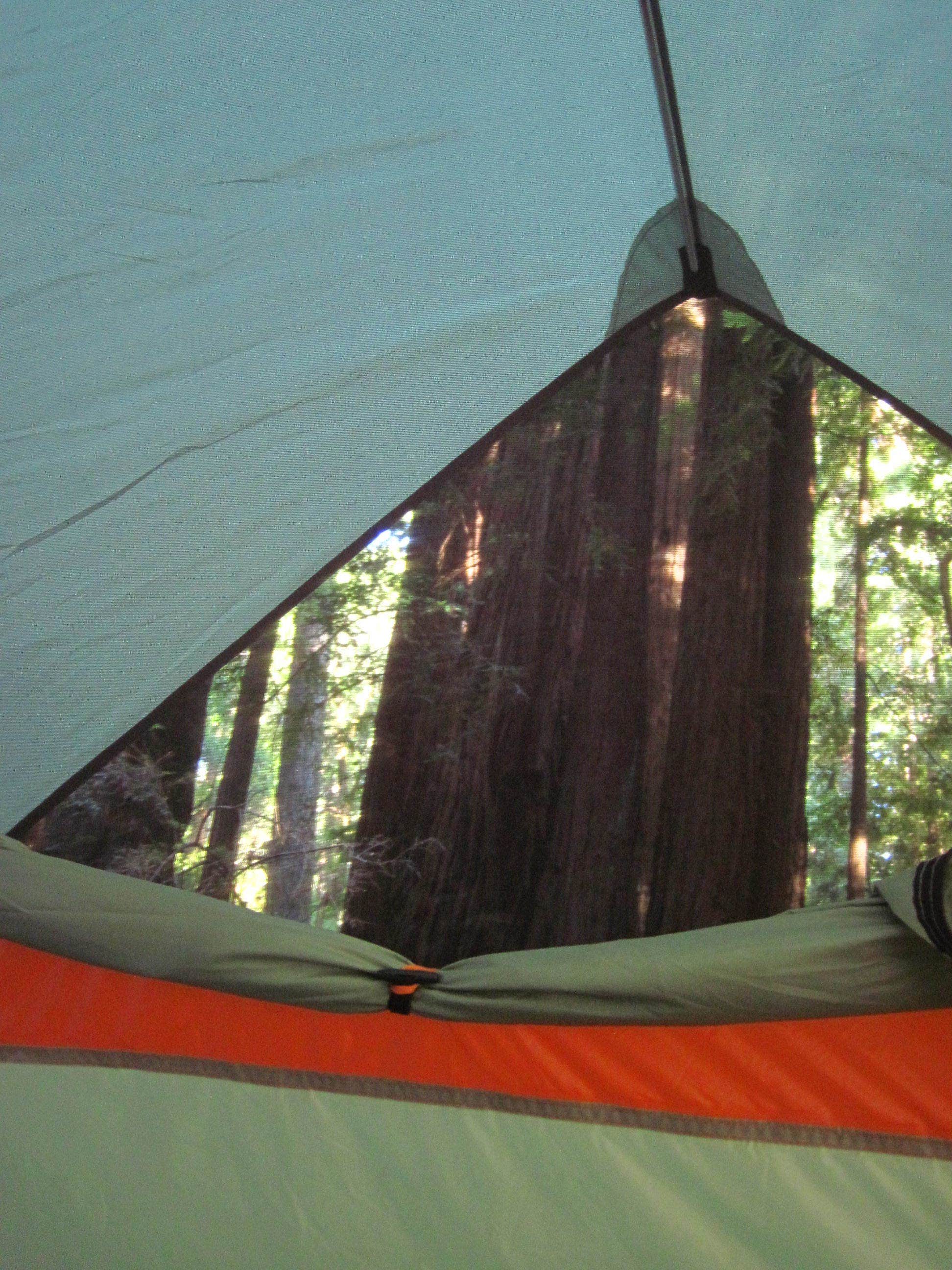 Camper submitted image from Lower Blooms Creek — Big Basin Redwoods State Park — CAMPGROUND CLOSED - 2
