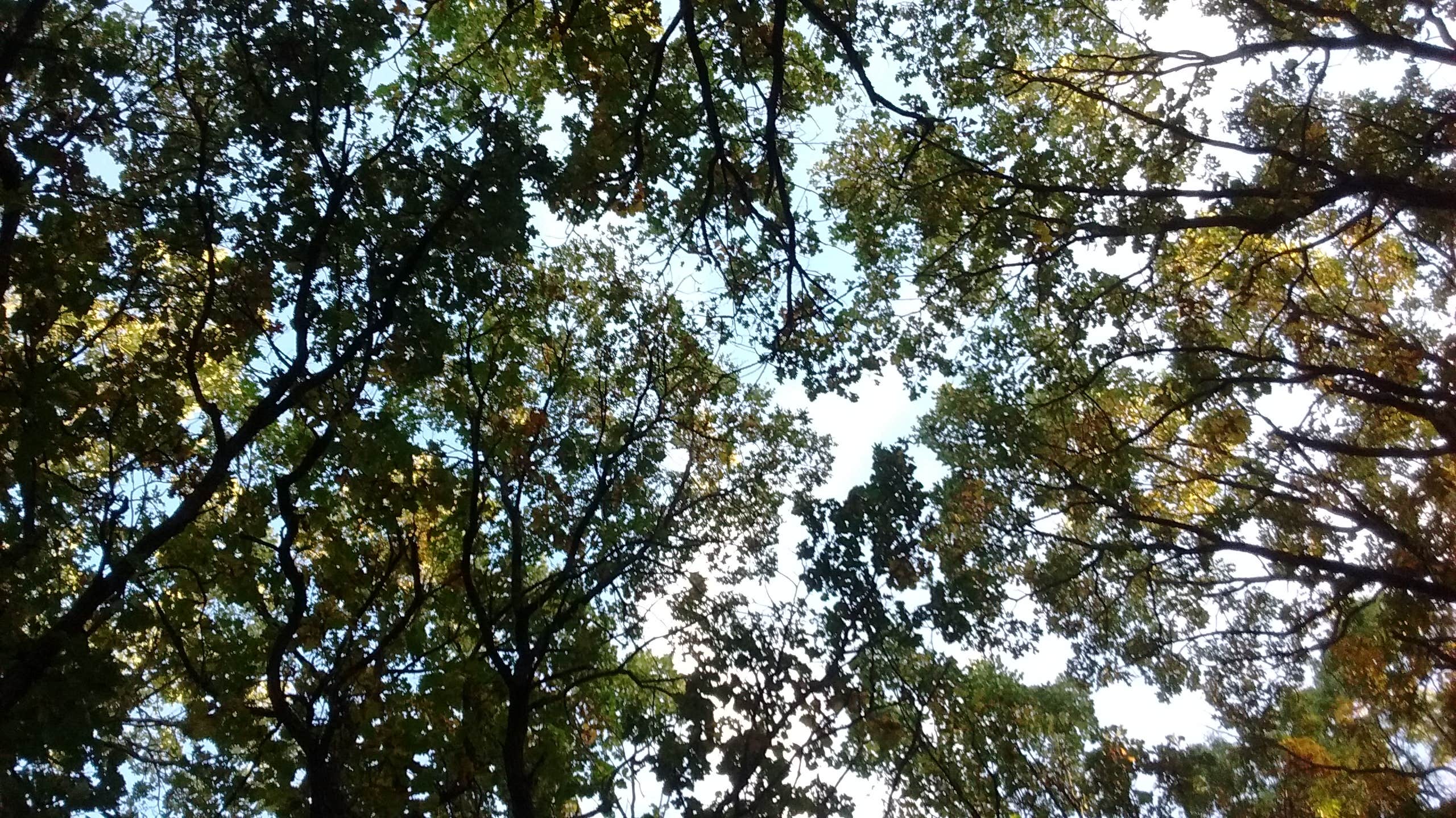 Camper-submitted photo at Ann Lake near White Bear Lake, MN