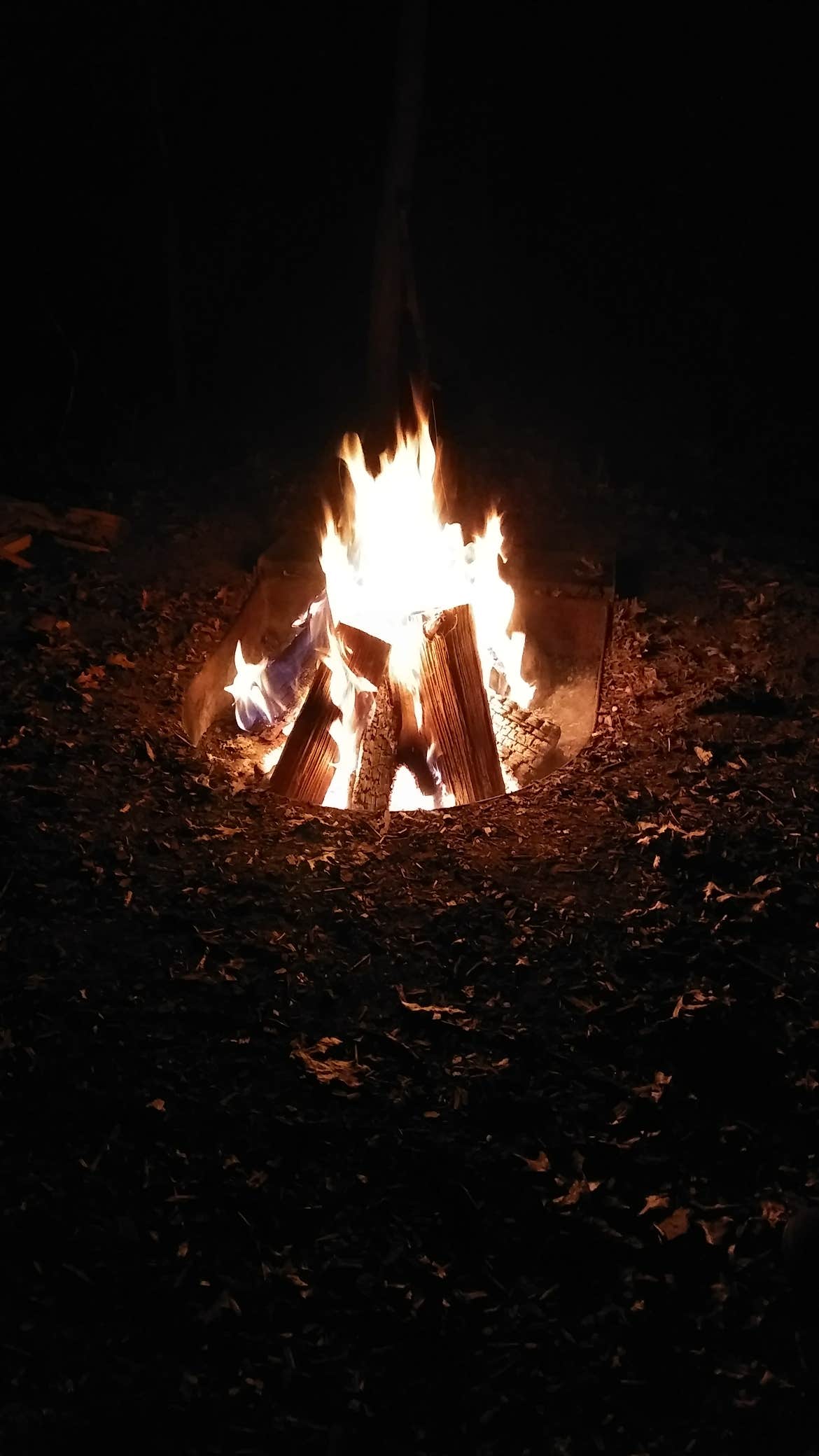 Lisa O.'s photo at Ann Lake Campground — Sand Dunes State Forest near Clearwater, MN