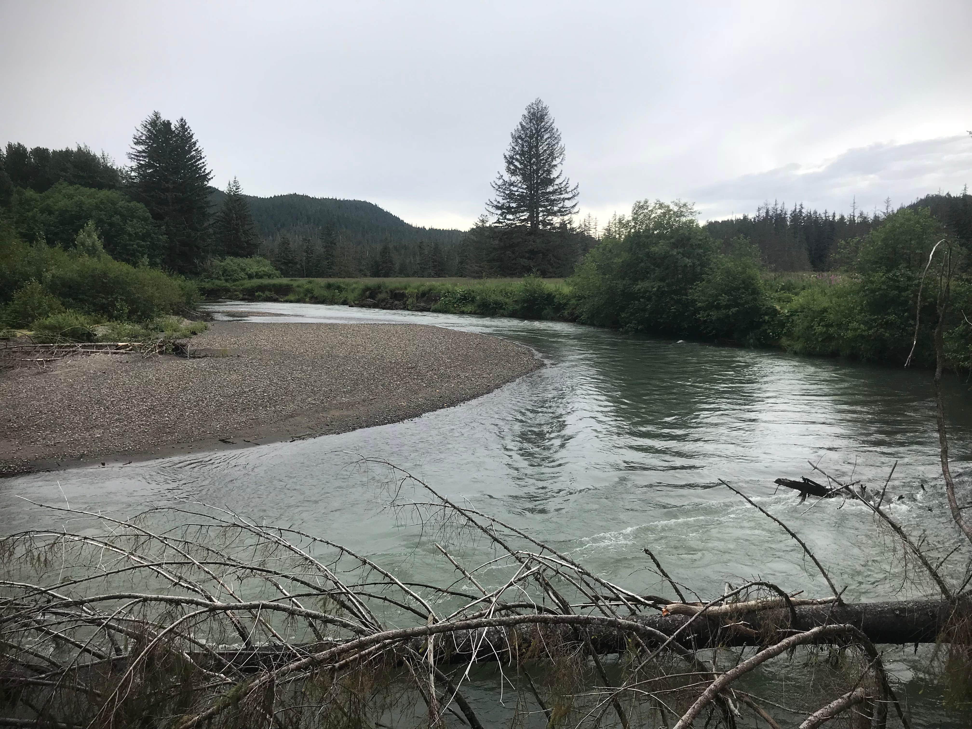 Camper submitted image from Bessie Creek Trailhead - 1