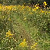 Review photo of Hoffmaster State Park Campground by Magy C., August 27, 2018