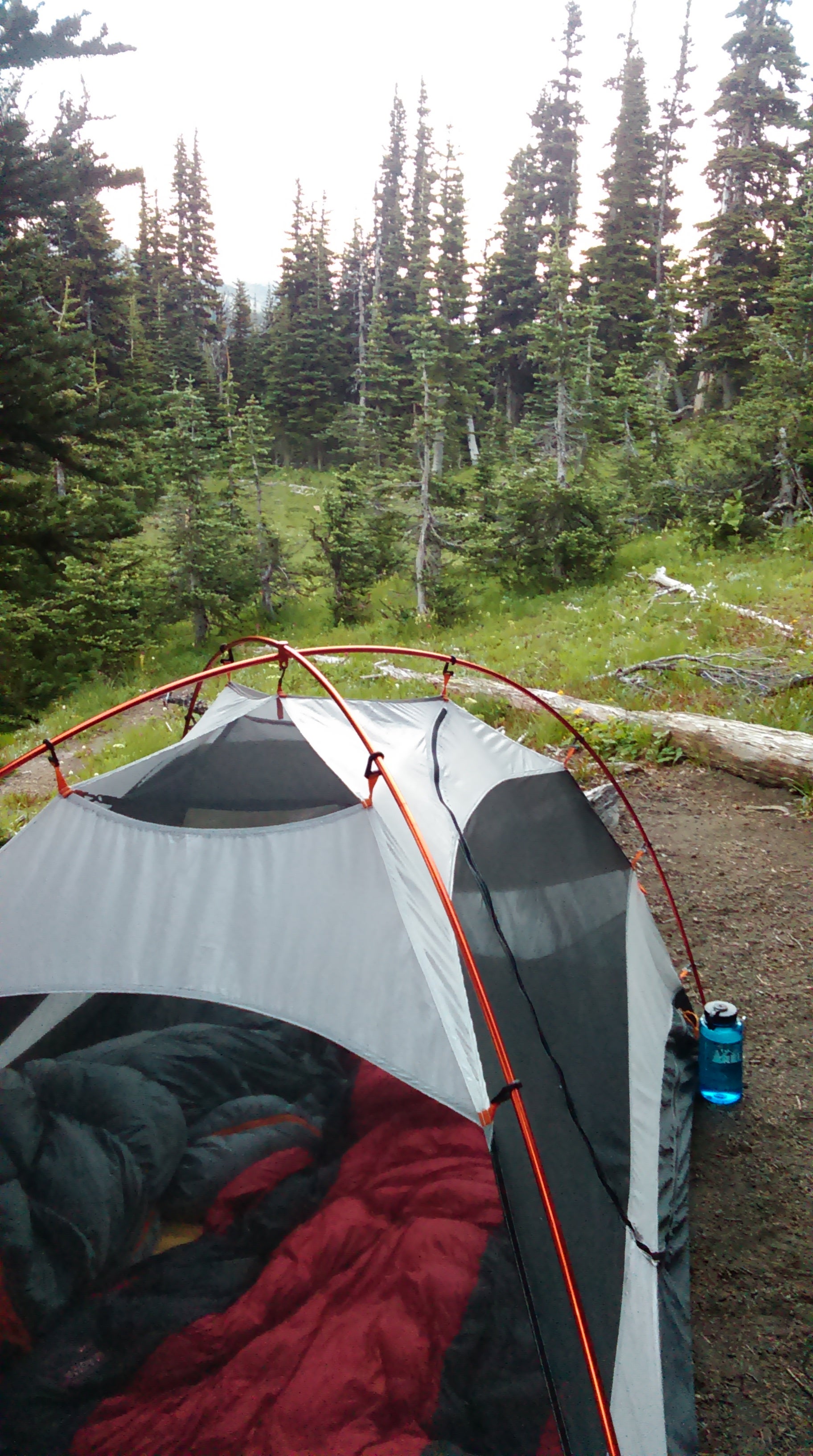 Camper submitted image from Sunrise Camp Primitive — Mount Rainier National Park - 5