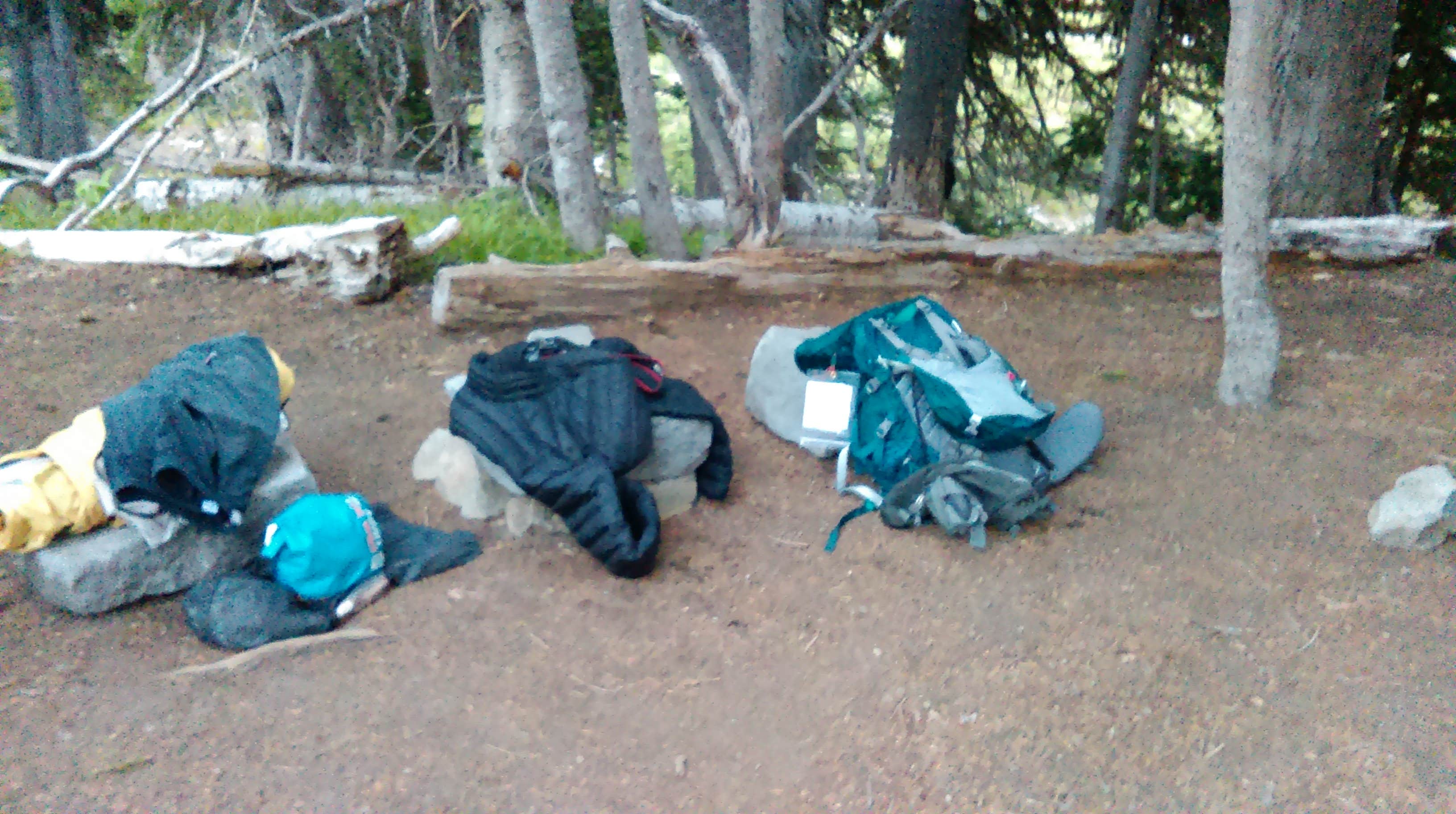 Danielle S.'s photo at Sunrise Camp Primitive — Mount Rainier National Park near Mount Rainier National Park