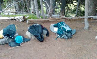 Danielle S.'s photo at Sunrise Camp Primitive — Mount Rainier National Park near Mount Rainier National Park