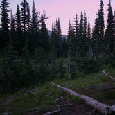 Review photo of Sunrise Camp Primitive — Mount Rainier National Park by Danielle S., August 27, 2018