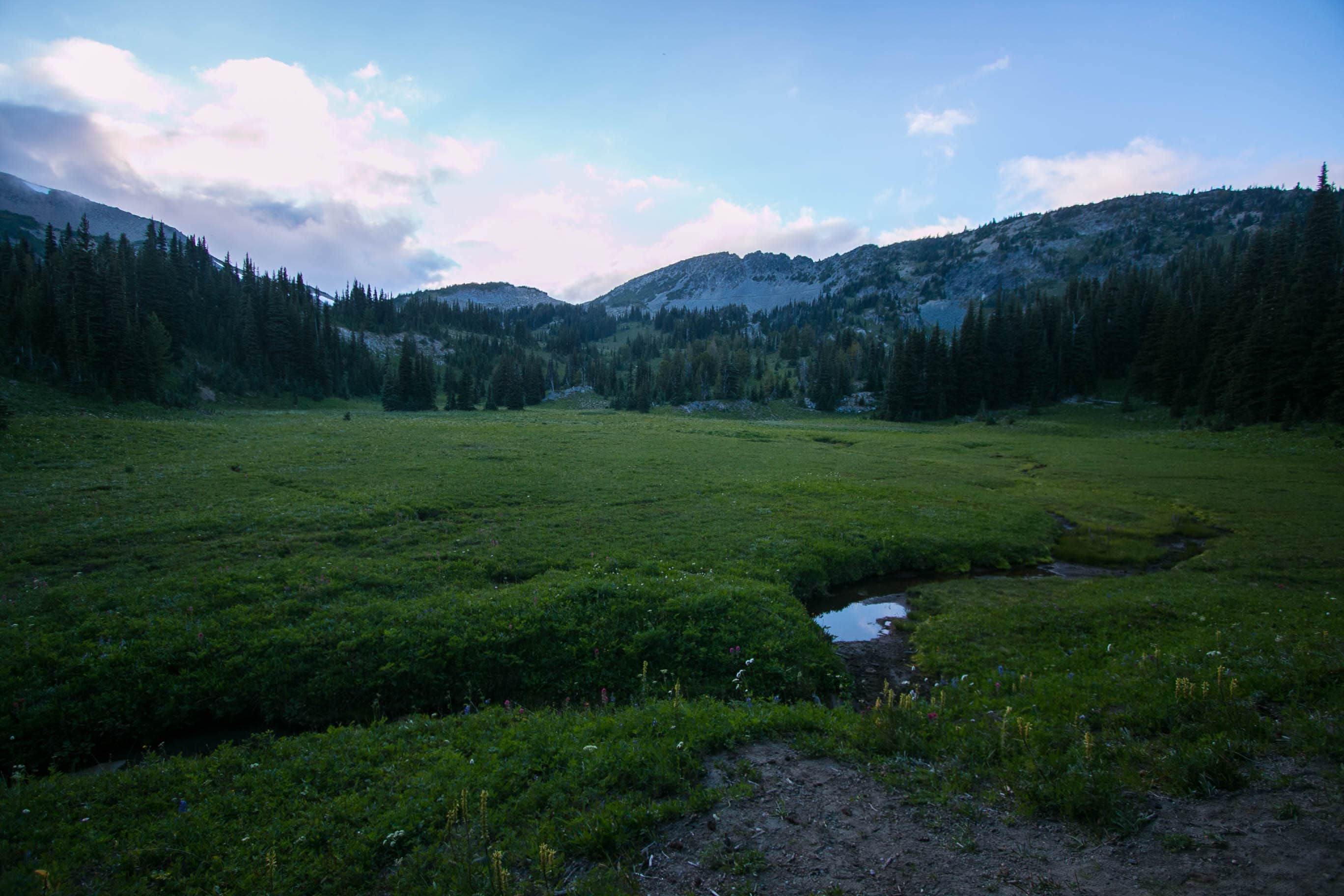 Camper-submitted photo at Sunrise Camp Primitive — Mount Rainier National Park near Goose Prairie, WA