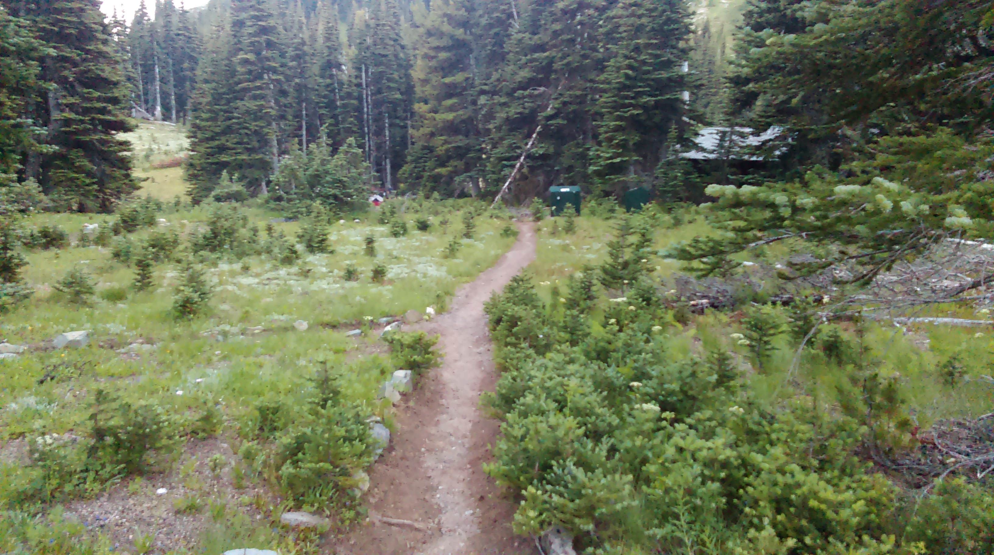 Camper-submitted photo at Sunrise Camp Primitive — Mount Rainier National Park near Goose Prairie, WA