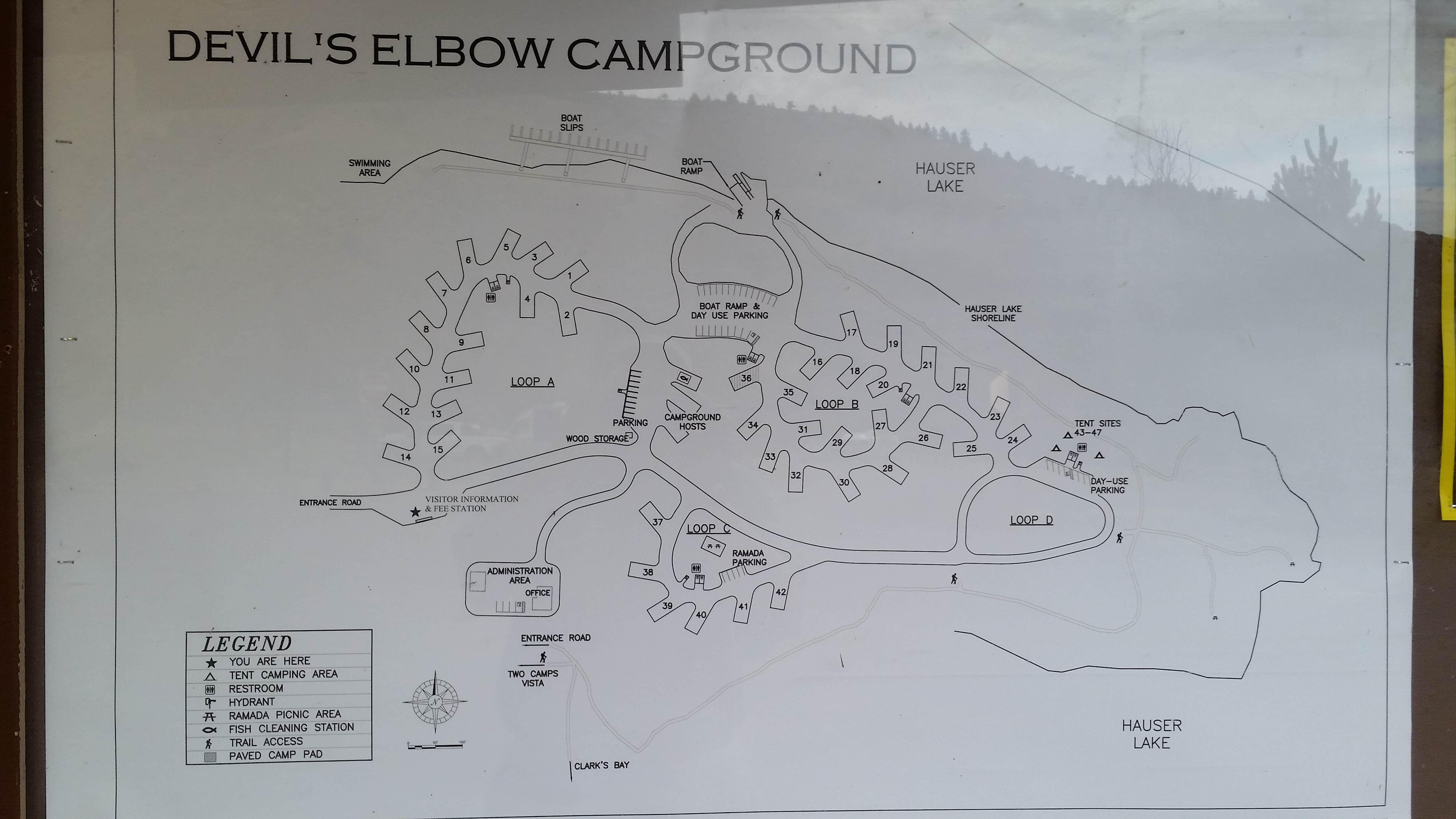 Camper submitted image from Devil's Elbow Campground - 5