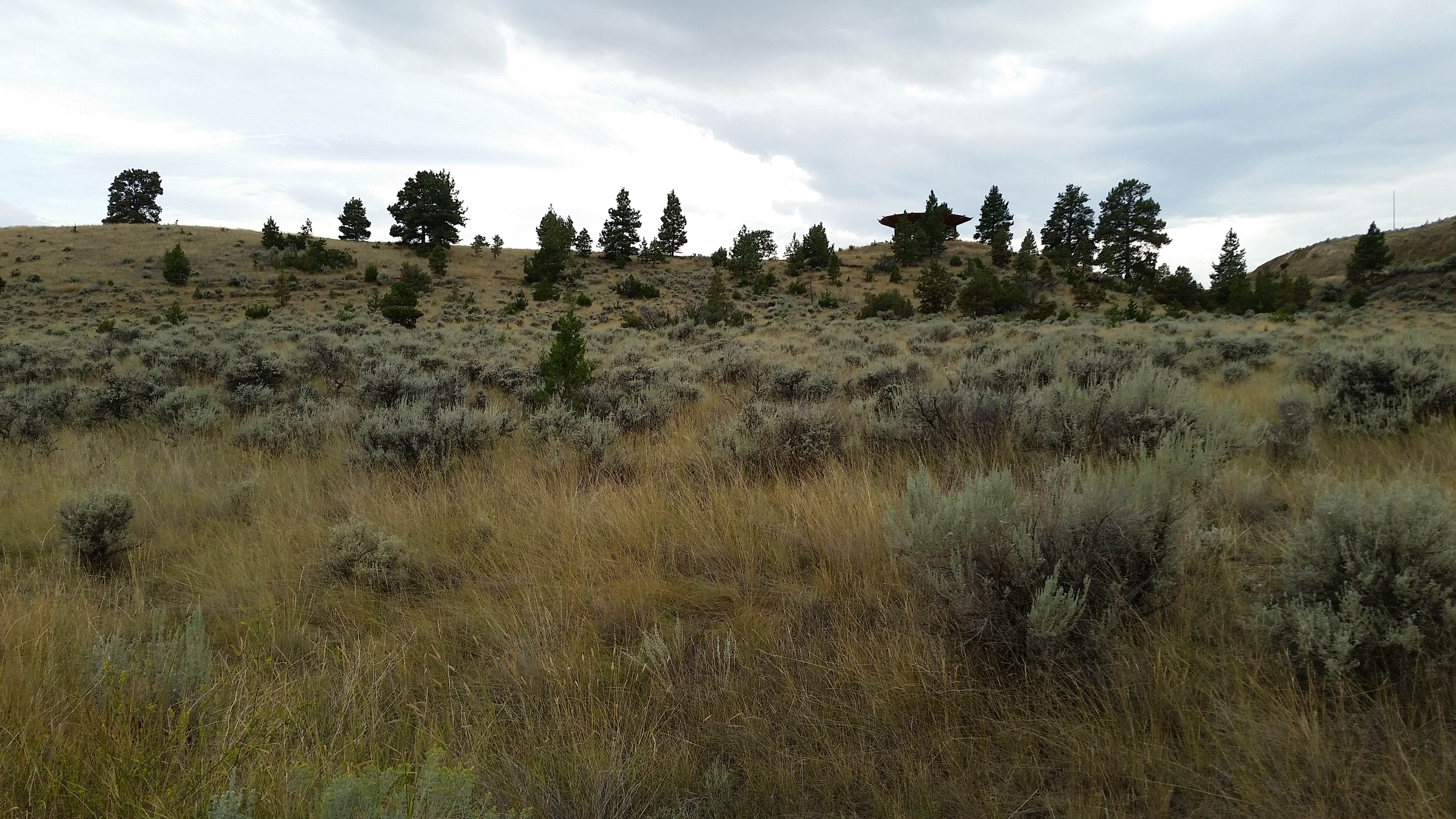 Two Camp Vista, follow trail from campground 