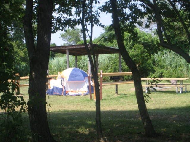 Camper submitted image from Staten Island — Gateway National Recreation Area - CLOSED for 2025 - 4