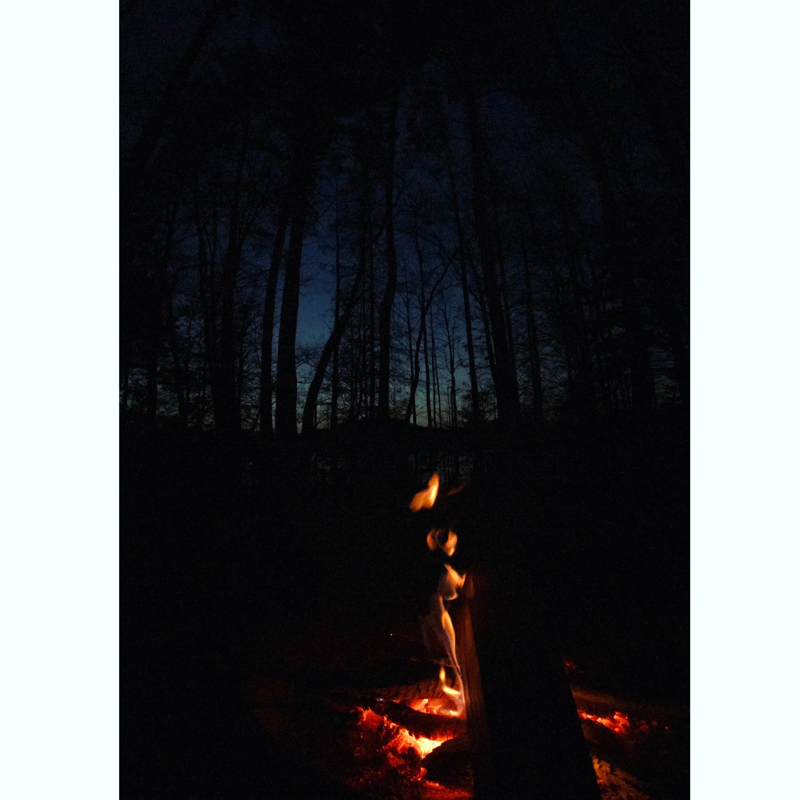 Kace L.'s photo at Little Oak Campground near Lebanon, VA