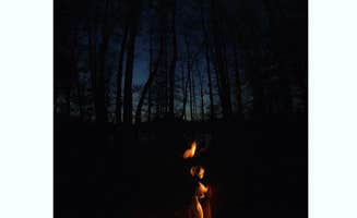 Kace L.'s photo at Little Oak Campground near Lebanon, VA