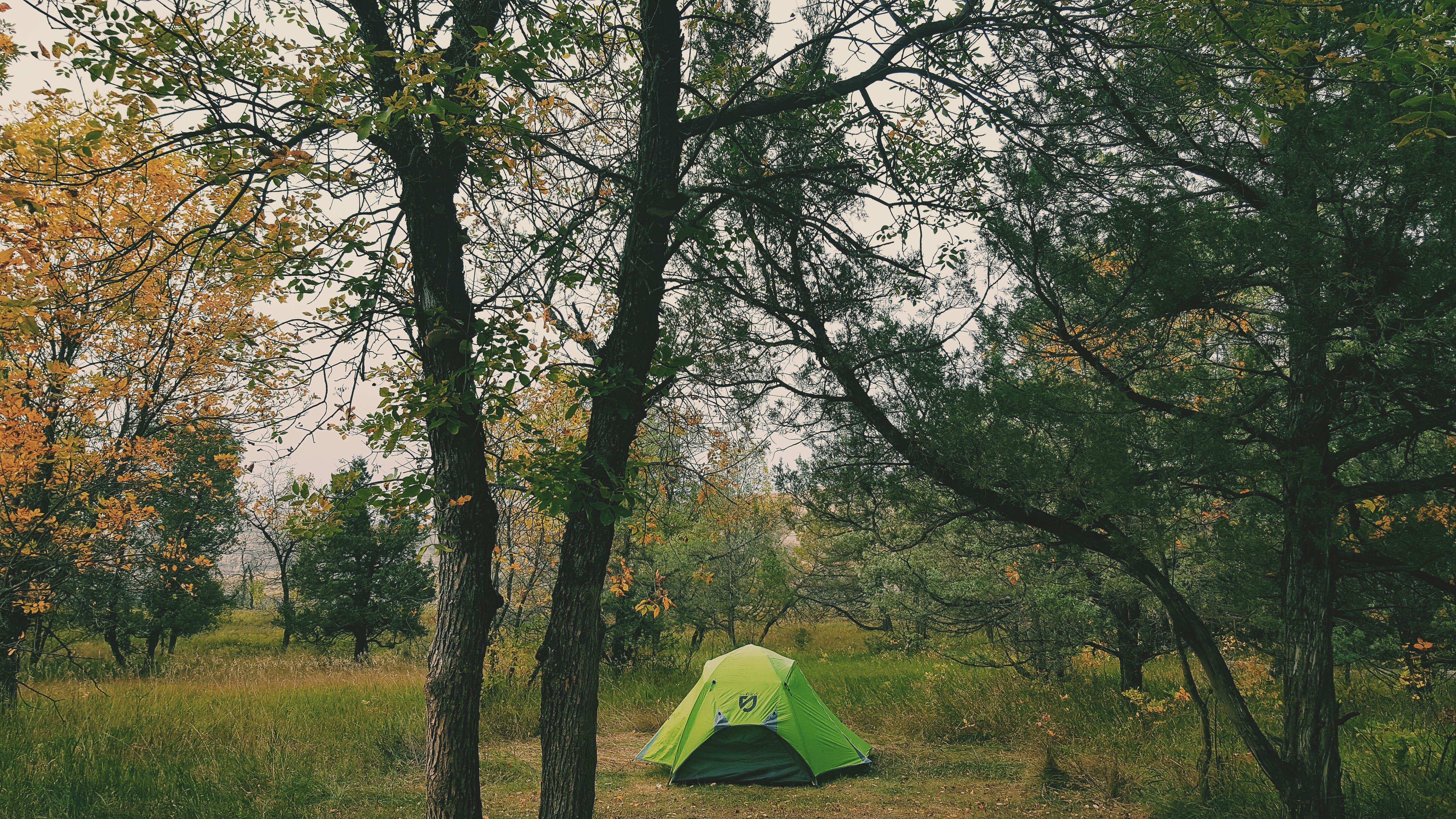 Caitlin B.'s photo at Cottonwood Campground — Theodore Roosevelt National Park near Medora, ND