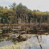 Review photo of Lorraine Park Campground — Harold Parker State Forest by Caitlin B., August 27, 2018