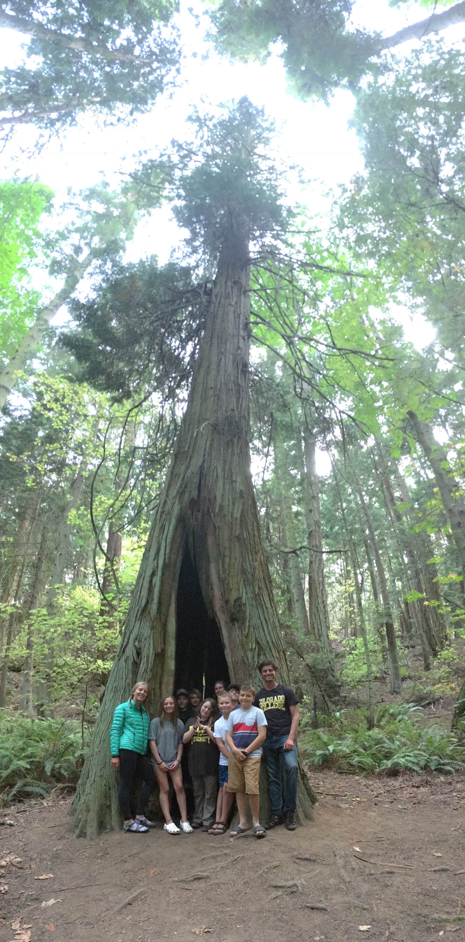 Camper submitted image from Rolfe Cove Campground — Matia Island Marine State Park - 2