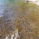 Review photo of Odell Lake by Nicolaus N., August 27, 2018