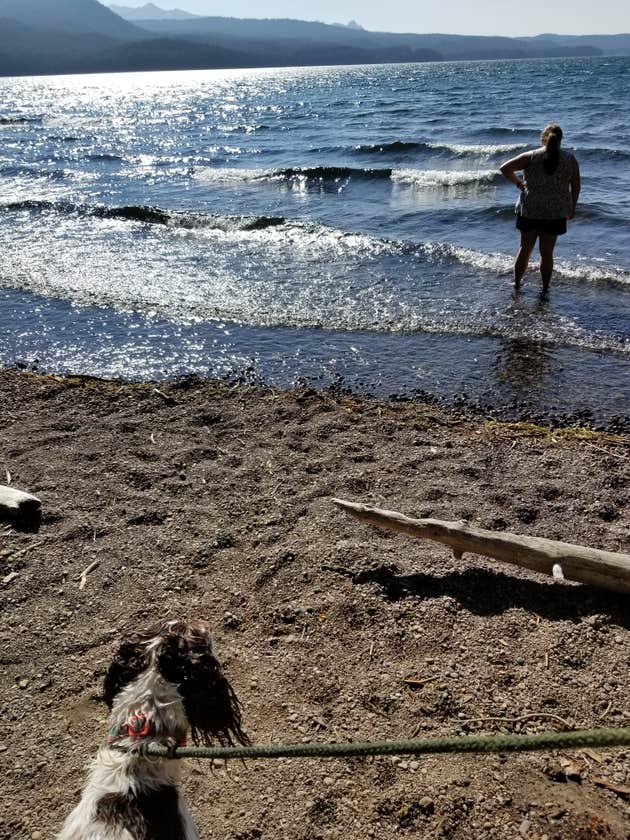 Odell Lake Camping Crescent, OR