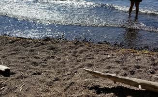 Nicolaus N.'s photo of camping with pets at Odell Lake near Chemult, OR